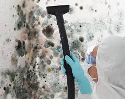 Mold Removal for HVAC Installations in Sahuarita, AZ